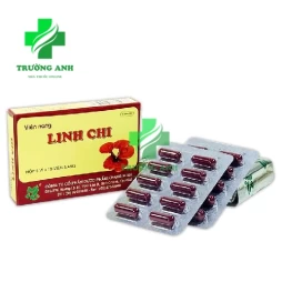 Viên nang Linh Chi - Hỗ trợ tăng cường chức năng gan của DP Khang Minh